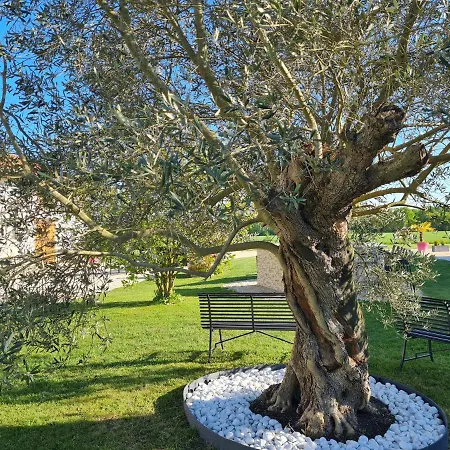 Domaine Du Cuiset -gîte Des Combles * Saint-André-sur-Vieux-Jonc